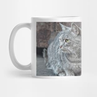 Feral grey cat Mug